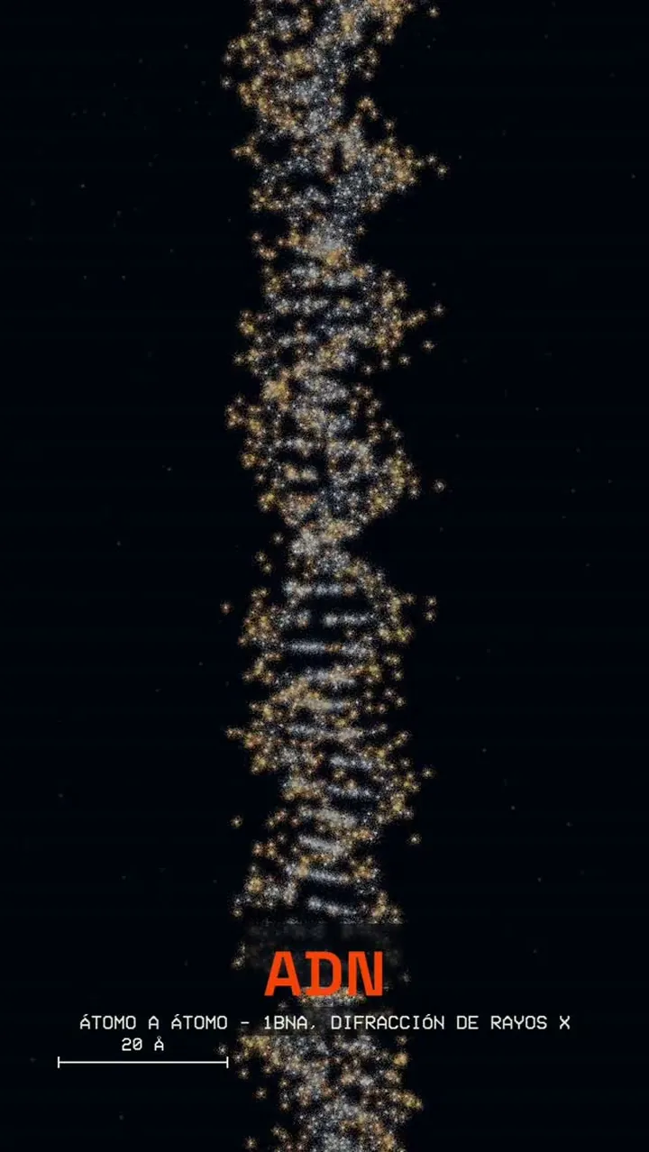 ADN y CRISPR, átomo a átomo